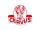 Cervus