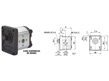 Cermag Pompa ad ingranaggi gruppo 2 versione standard albero scanalato pres. max 250bar