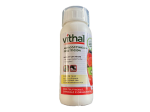 Vithal Garden Anticocciniglie insetticida Biolid UP PFnPE Vithal olio bianco 500 ml