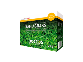 Sementi Paspalum notatum Bahiagrass Bottos 500gr prato rustico e chiaro