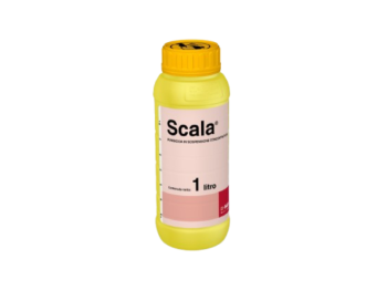 Fungicida Scala Basf Pyrimenthanil 400 g/L sospensione concentrata 1L